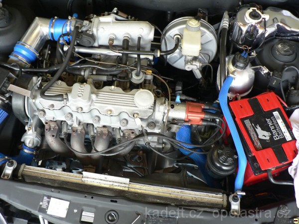 img00010.jpg