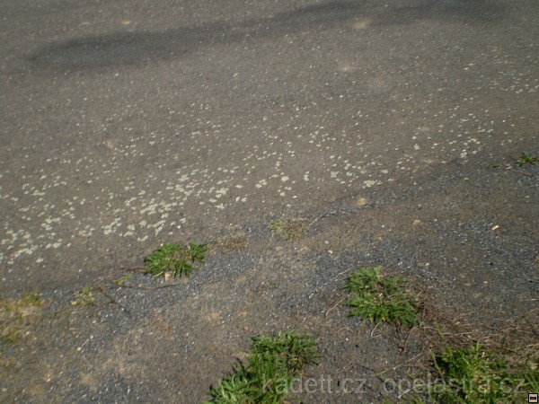 img00012.jpg