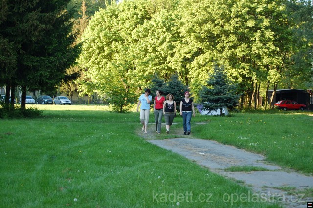 img00007.jpg