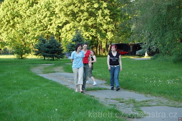 img00008.jpg