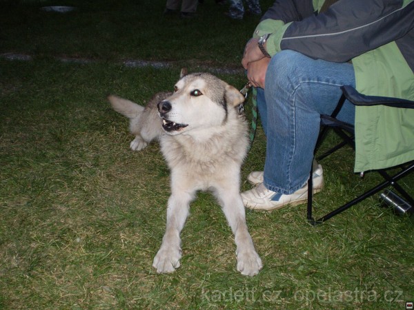 img00084.jpg