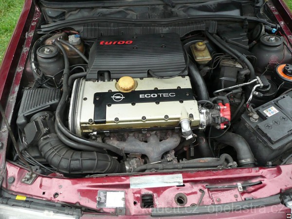img00020.jpg