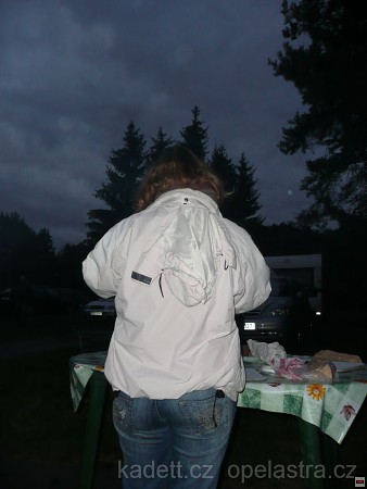 img00029.jpg