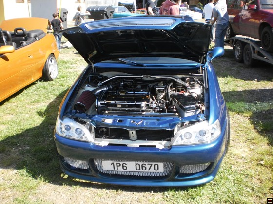 img00083.jpg