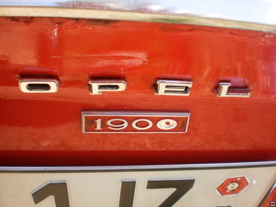 img00113.jpg