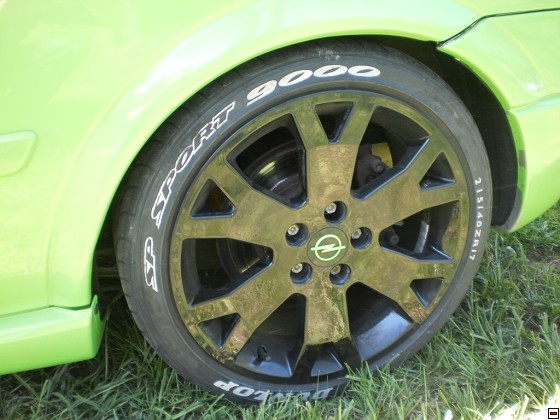 img00133.jpg