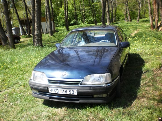 img00152.jpg